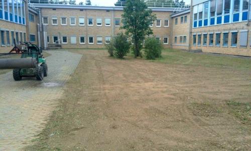 Gartenpflege;-Rasenfläche-erneuern,-Rasen-sähen